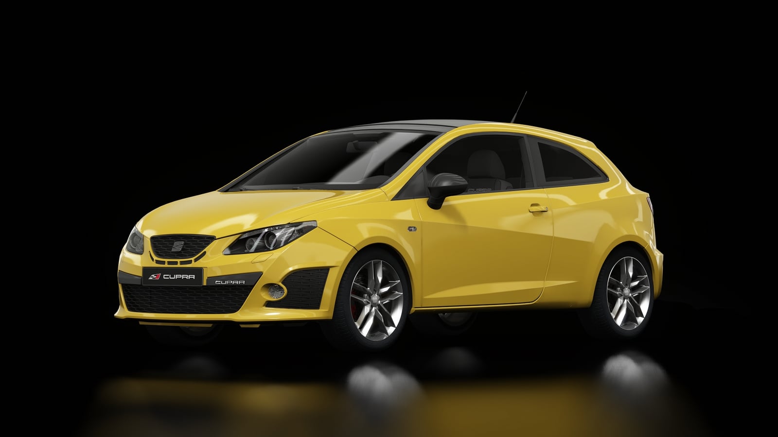 Seat Ibiza Cupra 2009