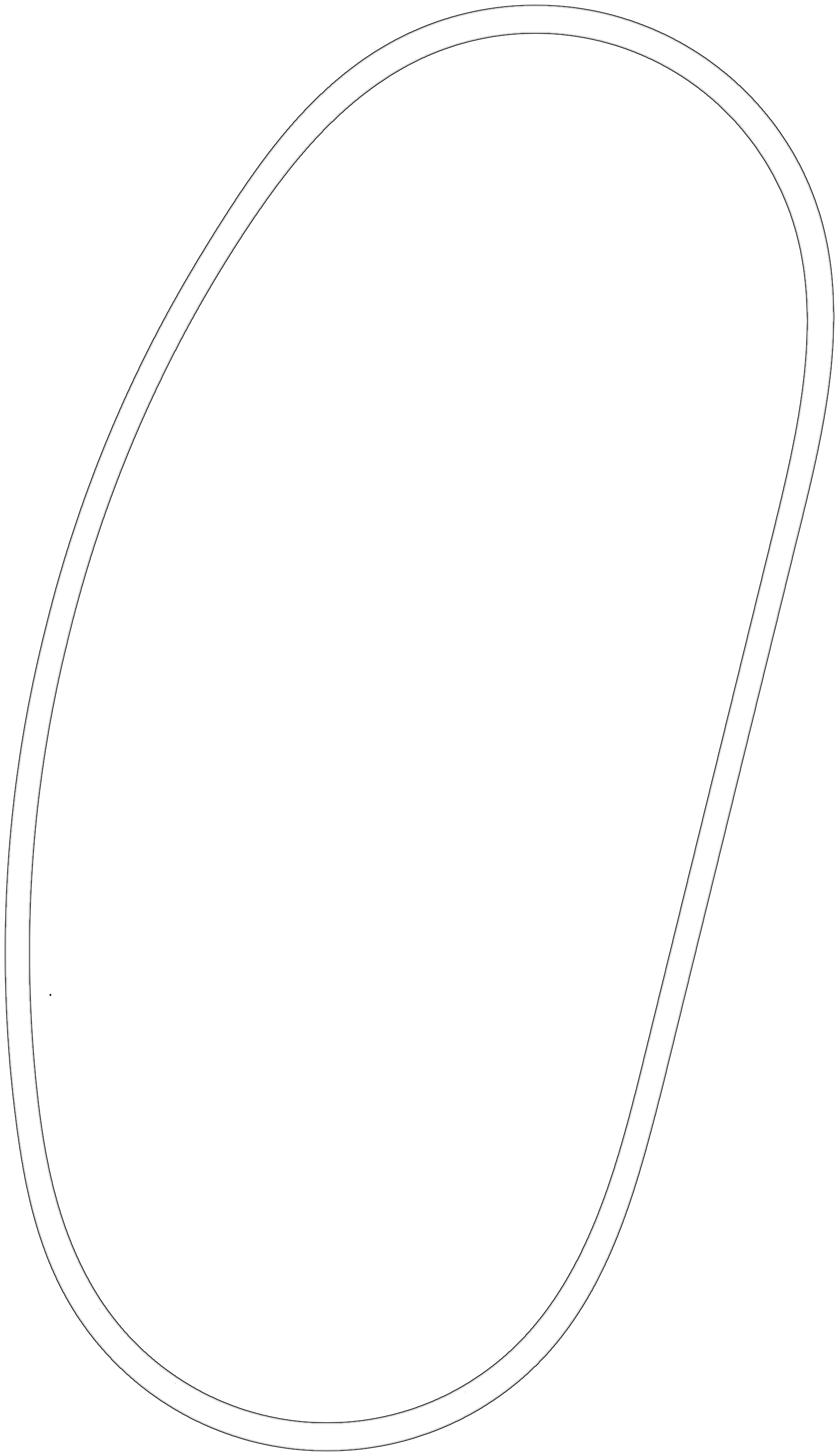 Michigan International Speedway (ASRL) map