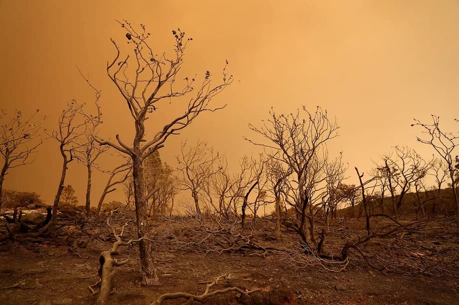 The Brown Hell