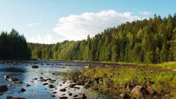Karelia Cross