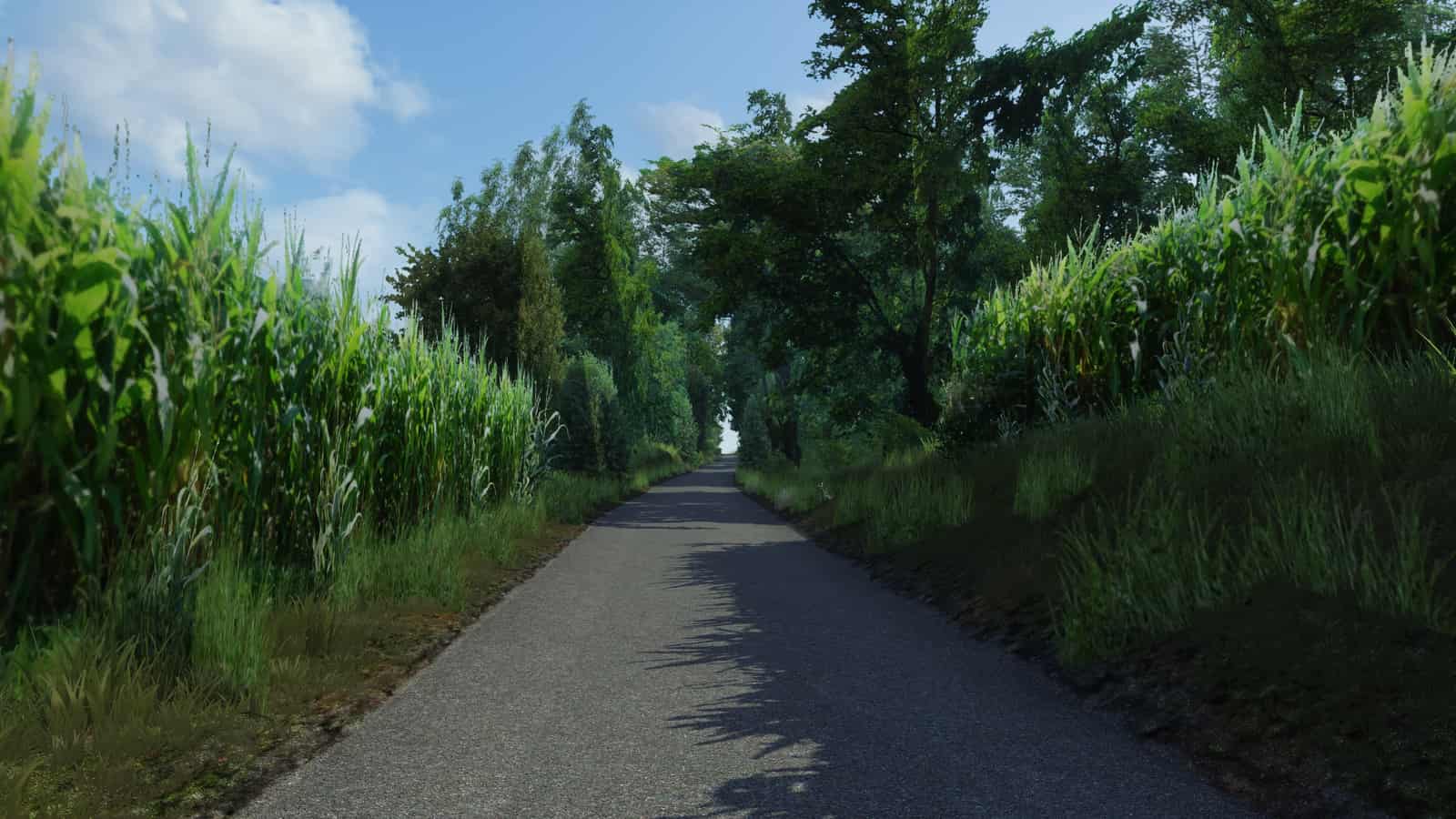 Bruchsal Rally (SimTraxx)